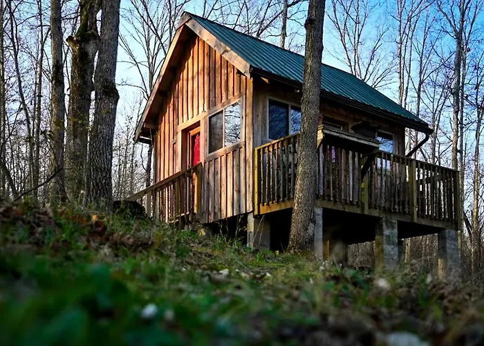 Rustic Cabin Rental With Stunning Forest Views In The Ozarks, Missouri