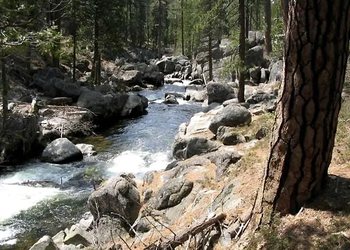 Exceptional Riverside Cabin Rental In The Trees Near Pinecrest Lake, California