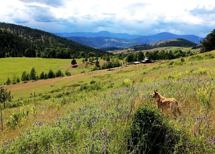 Secluded Cottage Rental On 305-Acre Ranch In Stevens County, Washington