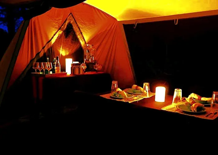 Grand Canyon Glamping Tents Perfect For Arizona Vacations