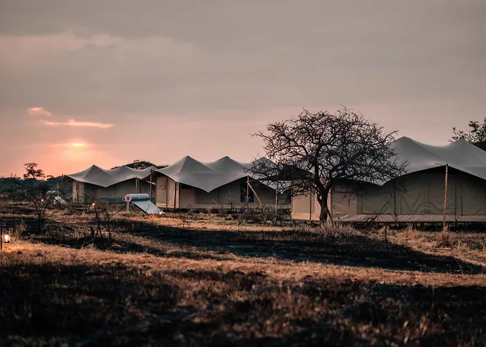 Pumba Luxury Camps Serengeti