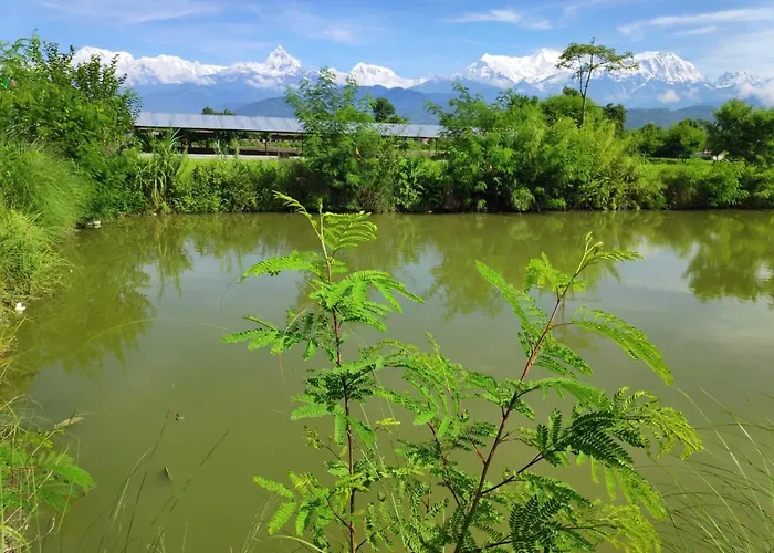 Bhoomi Organics Farmstay