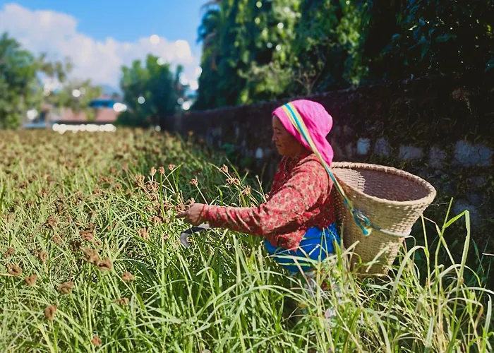 Bhoomi Organics Farmstay