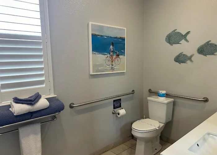 Sandy Toes Studio