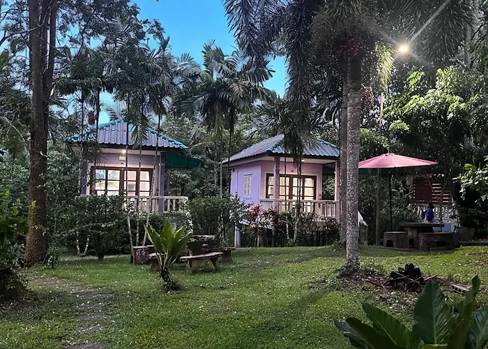 Khaosok Gallery & Camp