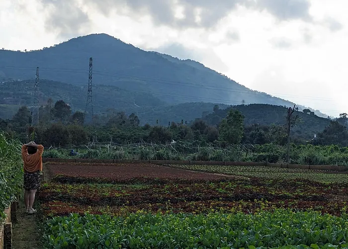 Herbal Garden Farmstay Bao Loc