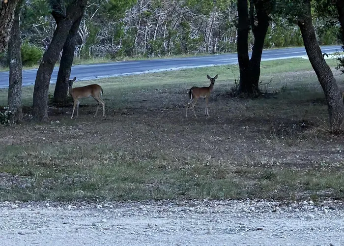 Texas Hiil Country Retreat, Bulverde
