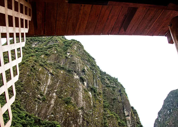 Tree House Lodge
