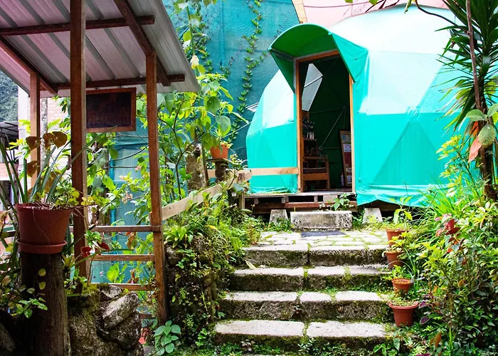 Tree House Lodge