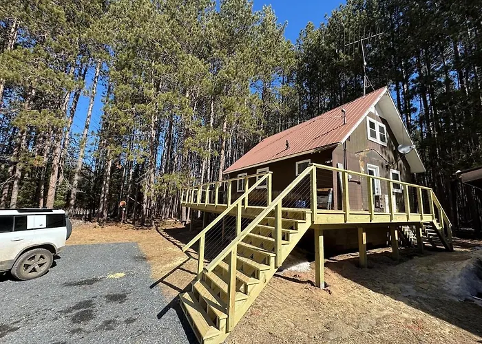 Up Escape In The Pines