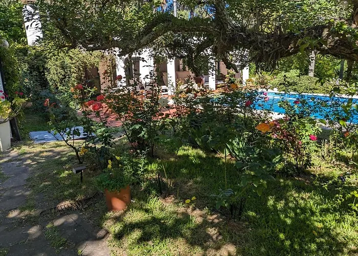 Pura Vida - Amazing Villa With 4 Bedrooms For Up To 11 Guests Close To Beach