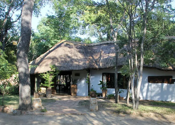 Miombo Safari