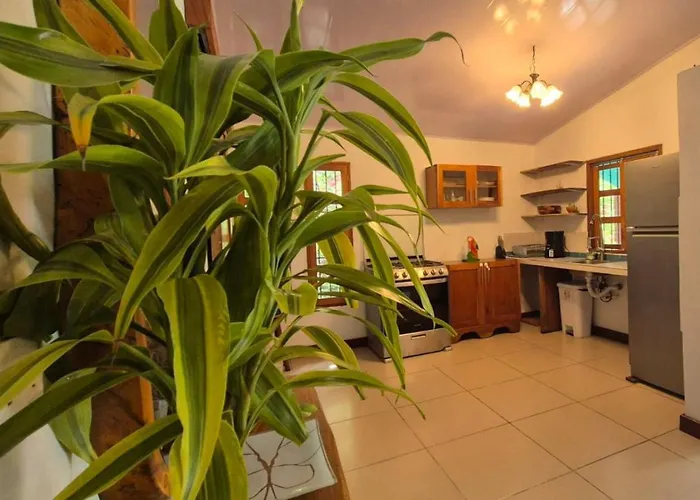 Casa Andrew - Cozy Island Home