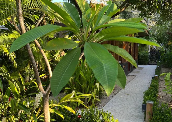 Casa Adam