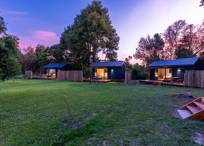Moss & Moon Cabins