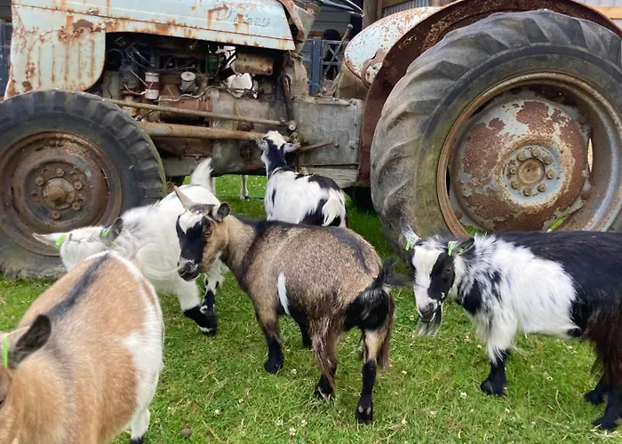 Willow Court Farm-Studio North & Petting Farm, 8 Mins From Legoland & Windsor, 15 Mins From Lapland Uk