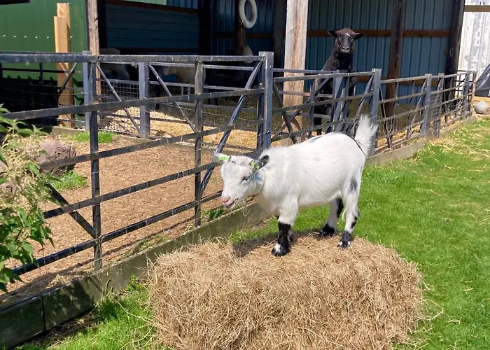 Willow Court Farm Studio West & Petting Farm, 8 Mins To Legoland & Windsor, 15 Mins To Lapland Uk