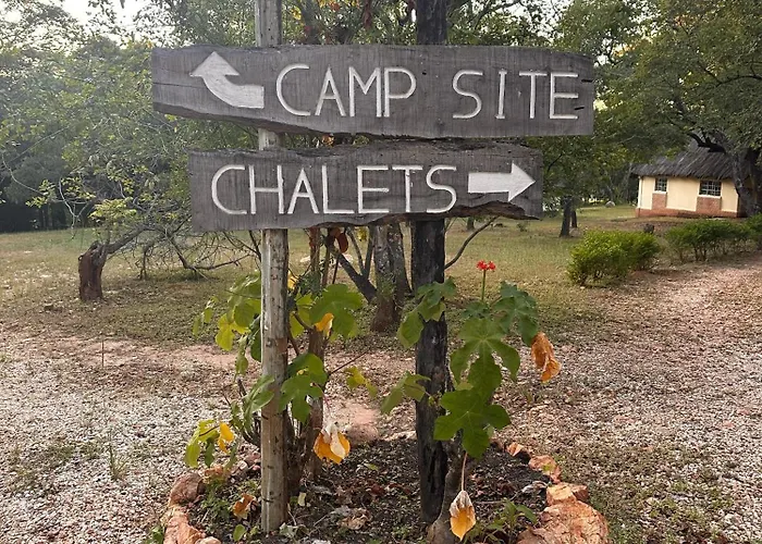 Pioneer Camp