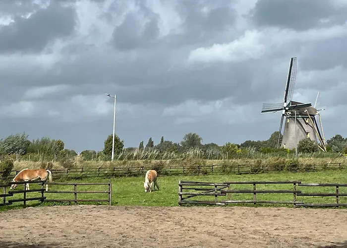 Chalet aan de Rotte Rotterdam