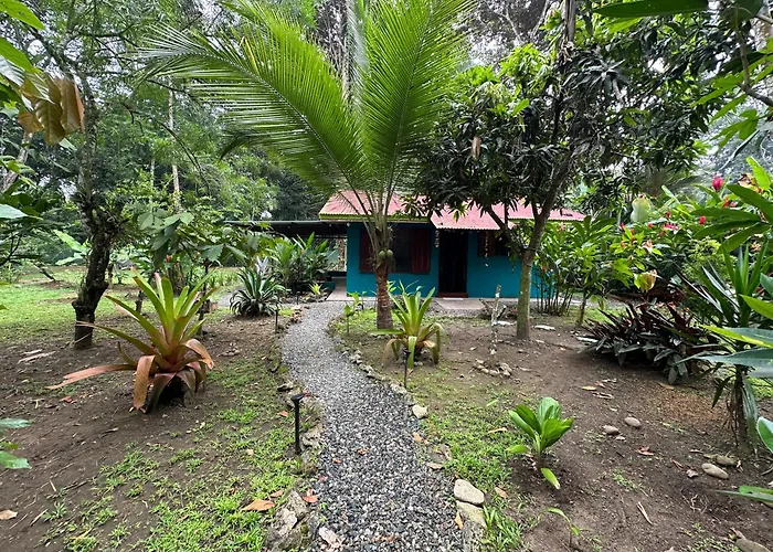 Mono Azul Cahuita