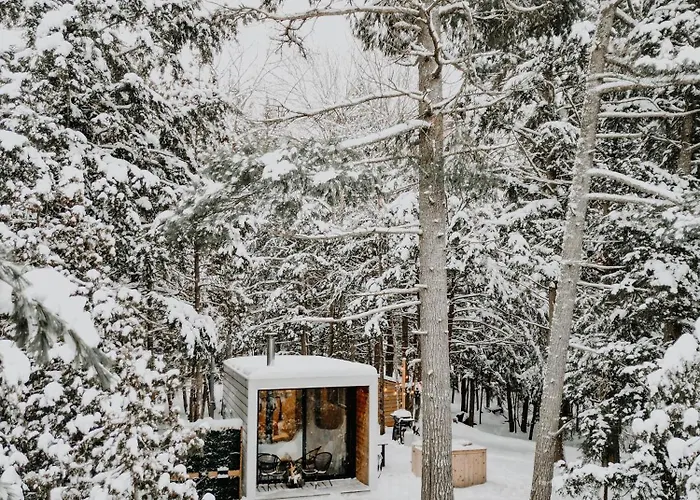 Aux Box Muskoka- Sauna- Cold Plunge- Hot Tub
