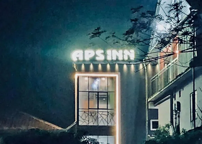 Aps Inn Munnar