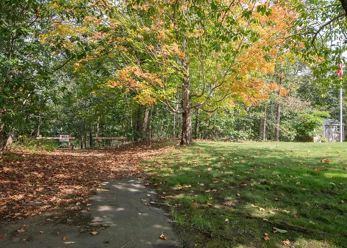 Dogs Welcome Huge Yard Right Next To Rail Trail