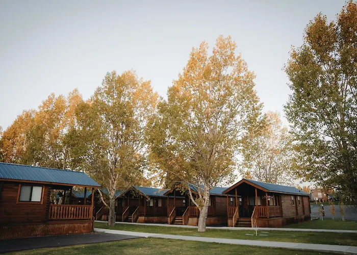 Blue Buffalo Resort