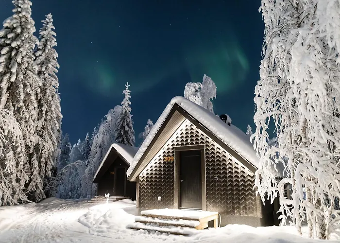 Vaattunki Wilderness Resort