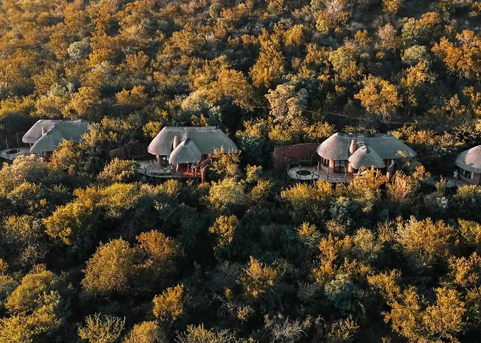 Madikwe Safari Lodge