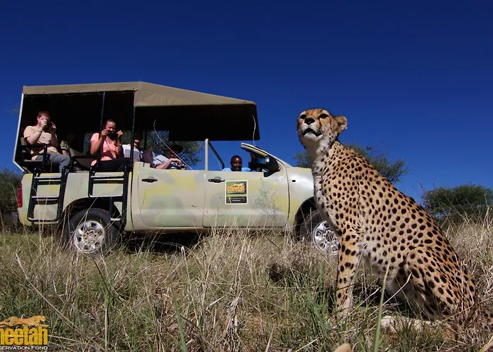 Cheetah View Lodge At Cheetah Conservation Fund