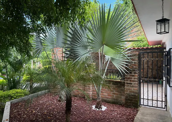 Villa Palmier - Tropical Oasis - Peace & Comfort