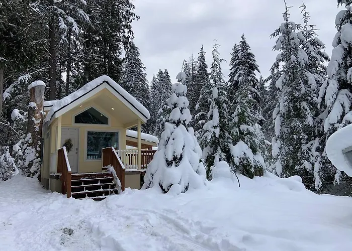 New Tiny Home Steps Away From Mt. Rainier