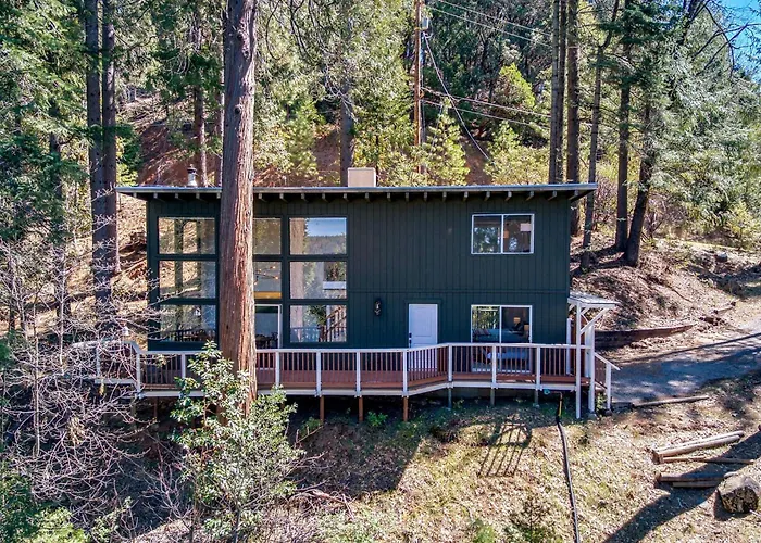 Glass Cabin Under The Pines | Hot Tub • Seclusion
