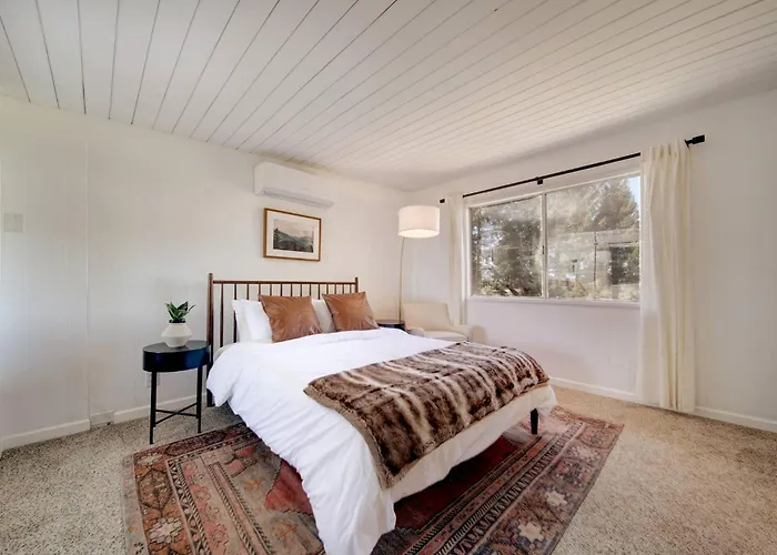 Glass Cabin Under The Pines | Hot Tub • Seclusion