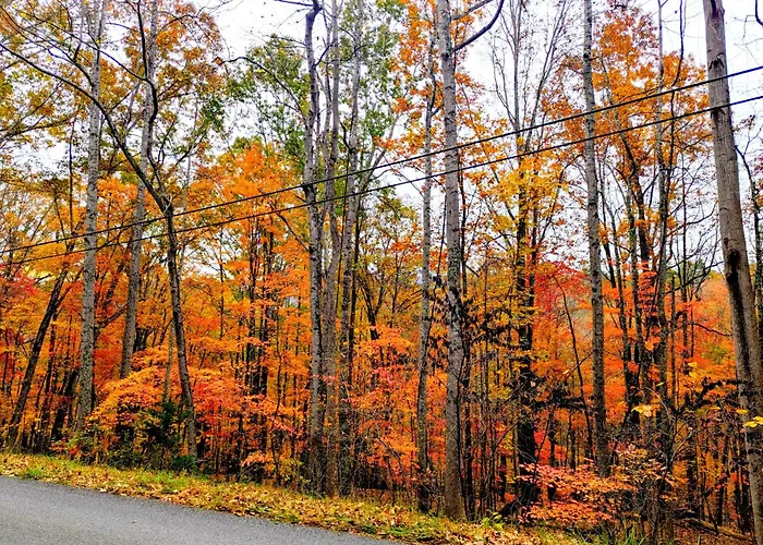 Best Of Both, Private Yet Convenient, Clifton Forge 17 Mi, Roanoke 31 Mi, Covington 30 Mi, Daleville 17 Mi ,Lexington 42 Mi