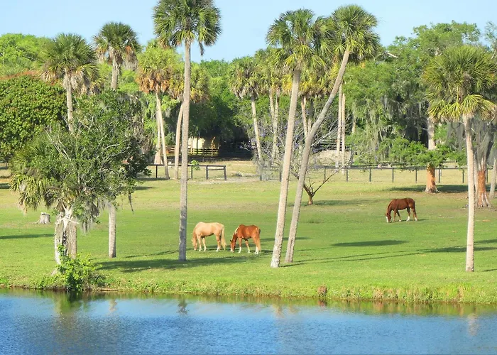 Fisherman'S Hideaway! Home On Canal In Okeechobee!