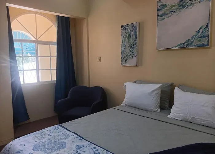 Cozy Kingston Flat