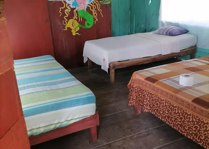 Tour Iquitos & Pacaya Samiria Lodge
