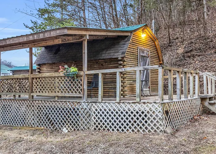 Mountain View Cabins