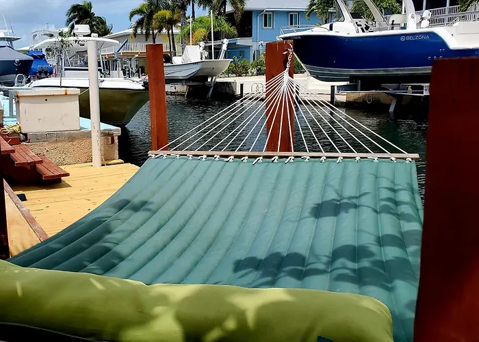 Sharky'S Paradise