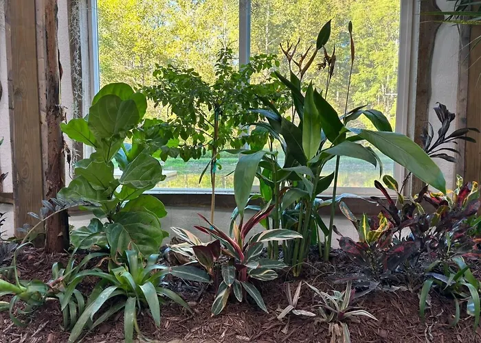 The Conservatory At Owl Hollow