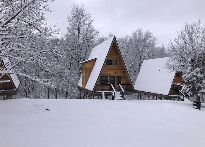 Dogwood Den- Cozy Forest A-Frame Near Bentonville