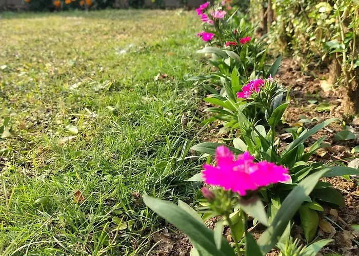 Private Sanctuary In Bolpur Where Nature Whispers