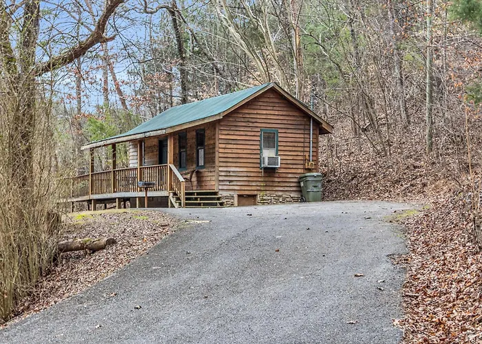 Mountain View Cabins