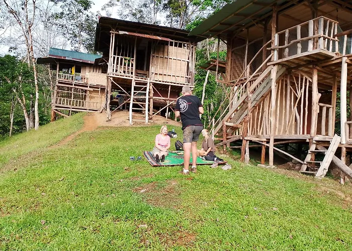 Orangutantreksumatra & Lovely Jungle Lodge Only Book If You Are Treking With Us