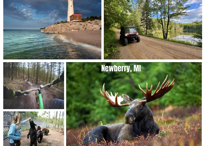 Snowmobile South Manistique Lake Lakeside Luxury