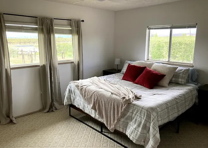 Vineyard And Winery Guest House