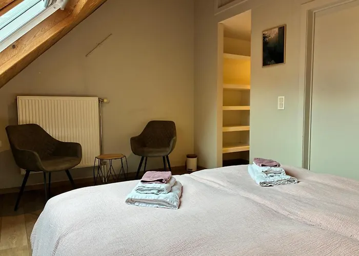 Spacious Design Home With Garden Near Centre Brugge