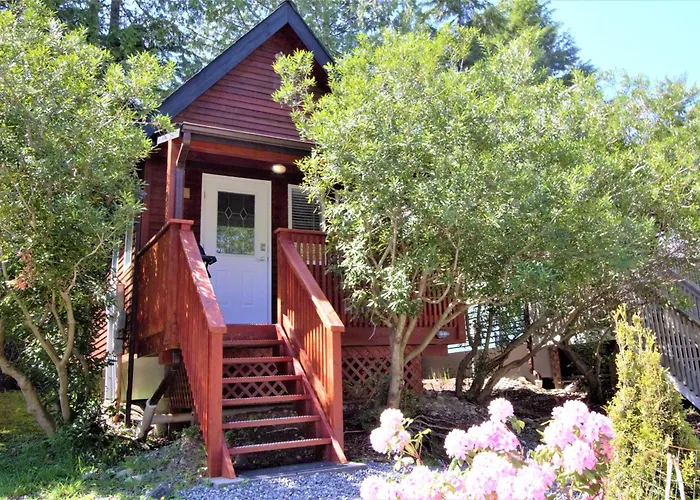 Cozy Cabin Near Walking Trails And Beaches!